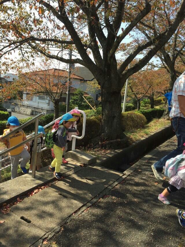 1445555287296.jpg