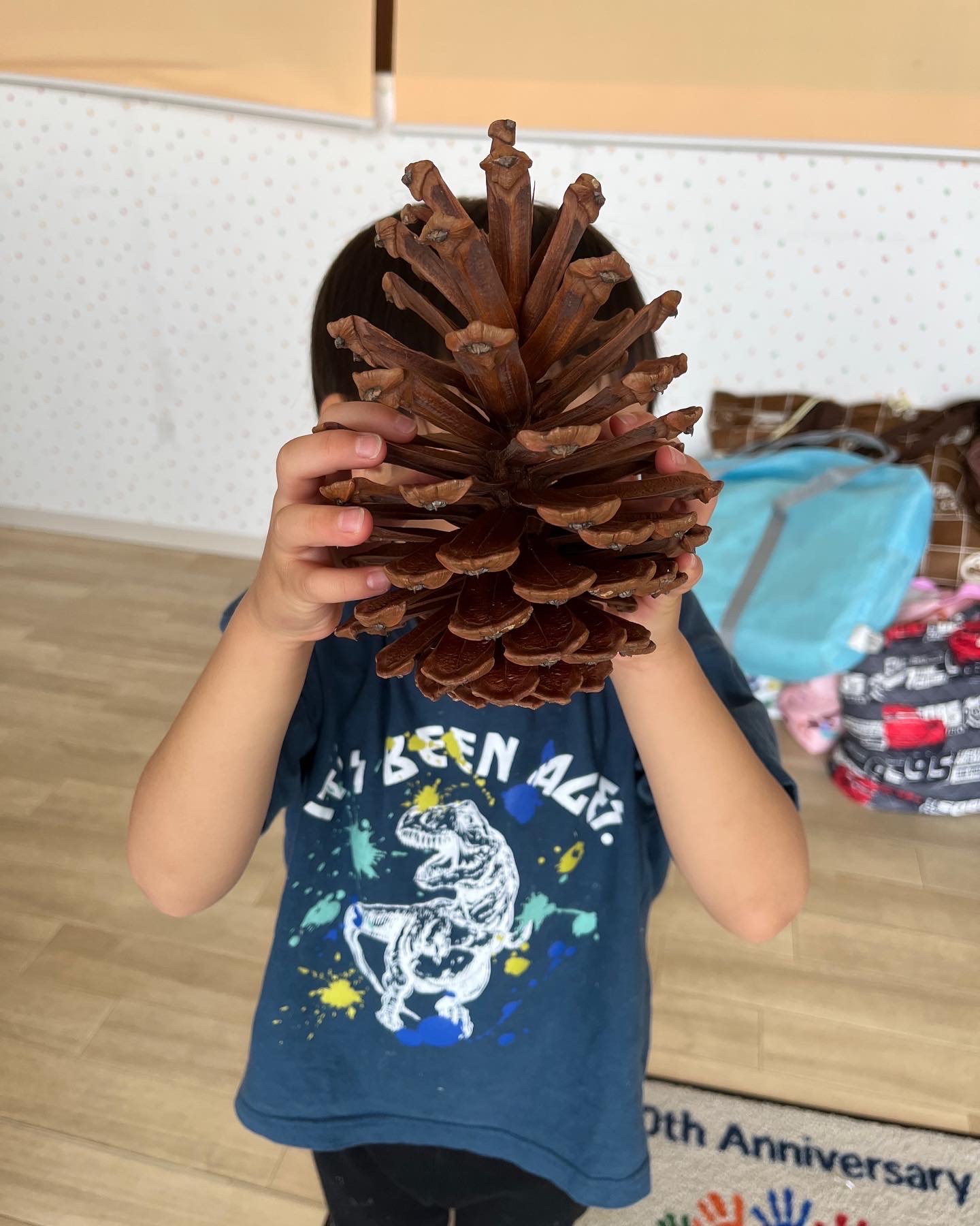 pinecone1